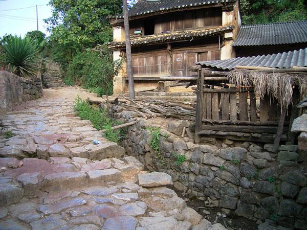 2022年蠻磚古樹(shù)春茶特點(diǎn)？