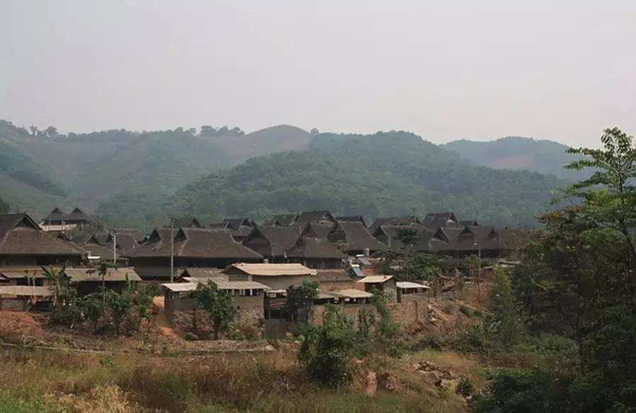 2022年革登古樹春茶特點(diǎn)？