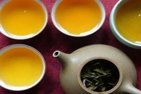 2022年普洱茶怎么泡法才正確？