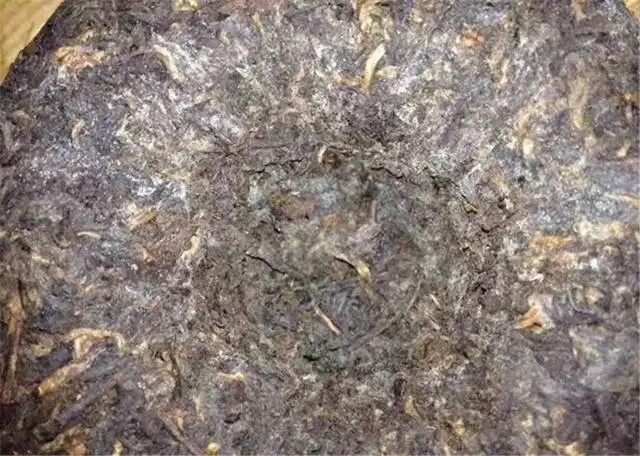 2022年普洱茶受潮發(fā)霉了怎么辦？