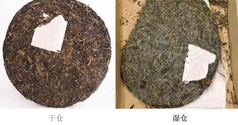 普洱茶怎么分辨干濕倉？