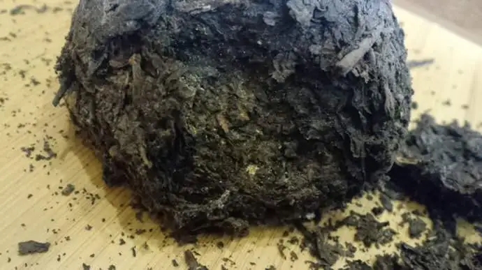 普洱茶蟲(chóng)子怎么辦？