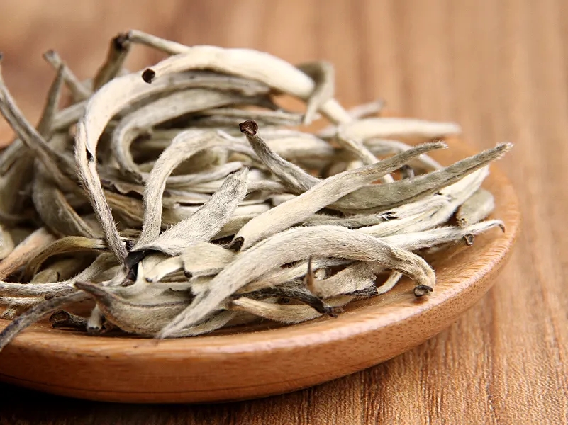 福鼎白茶、安吉白茶、云南月光白“三白”的區(qū)別