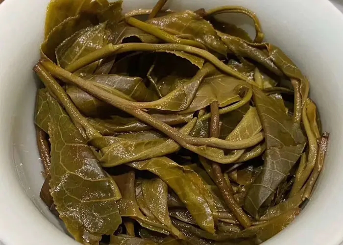 老班章和冰島誰更好喝，要怎么鑒別