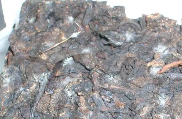 ?普洱茶發(fā)霉了怎么辦？教你妙招應對發(fā)霉的普洱茶！