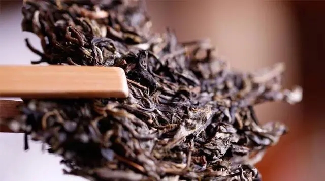 普洱生茶好還是普洱熟茶好喝？如何挑選適合自己的普洱茶？