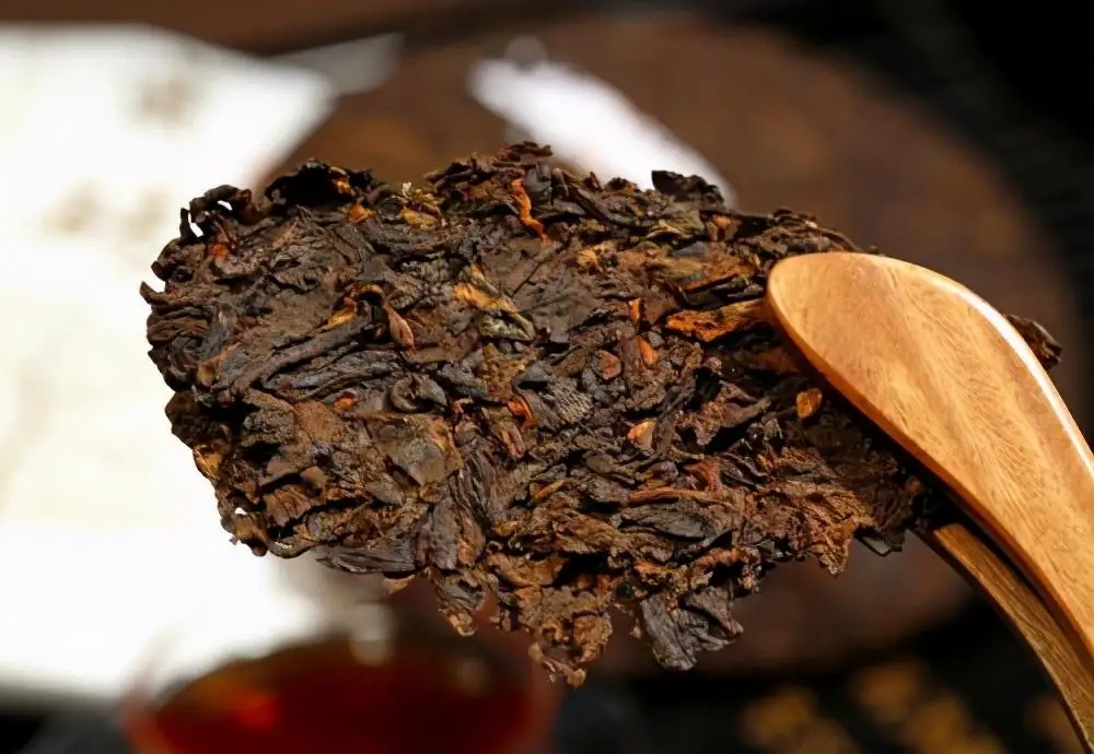 普洱茶生津、回甘、滋味、口感是怎么回事？丨實用