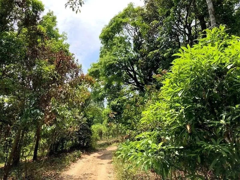 茶山紀(jì)實(shí):犀牛塘,最近能火是有原因的