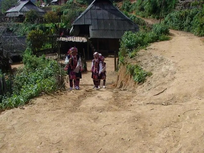 2022年的春天，古樹味道從犀牛塘開始！