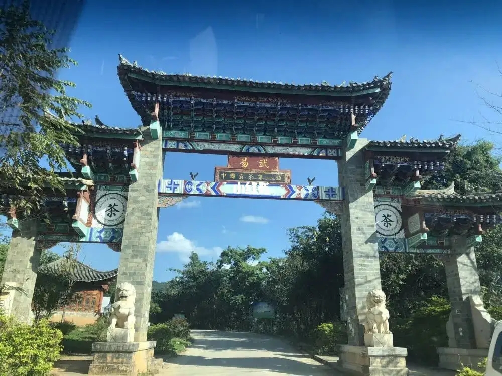 古樹(shù)茶年份越老，茶葉就越好嗎？影響茶葉品質(zhì)的因素有哪些？