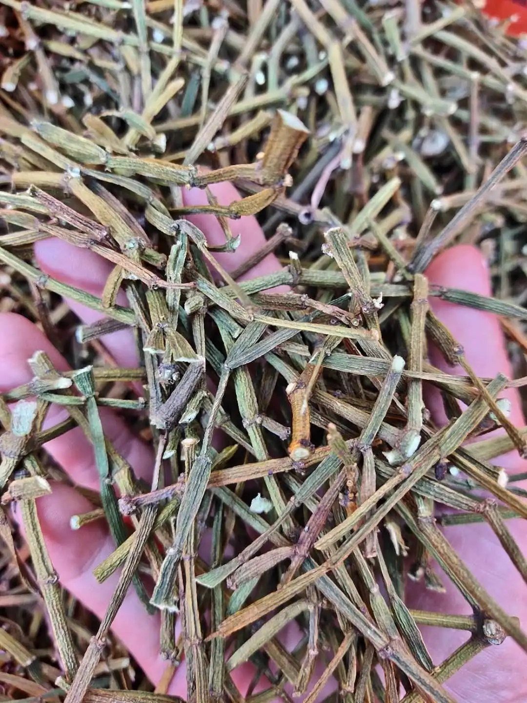 干貨 | 什么是茶界的螃蟹腳？