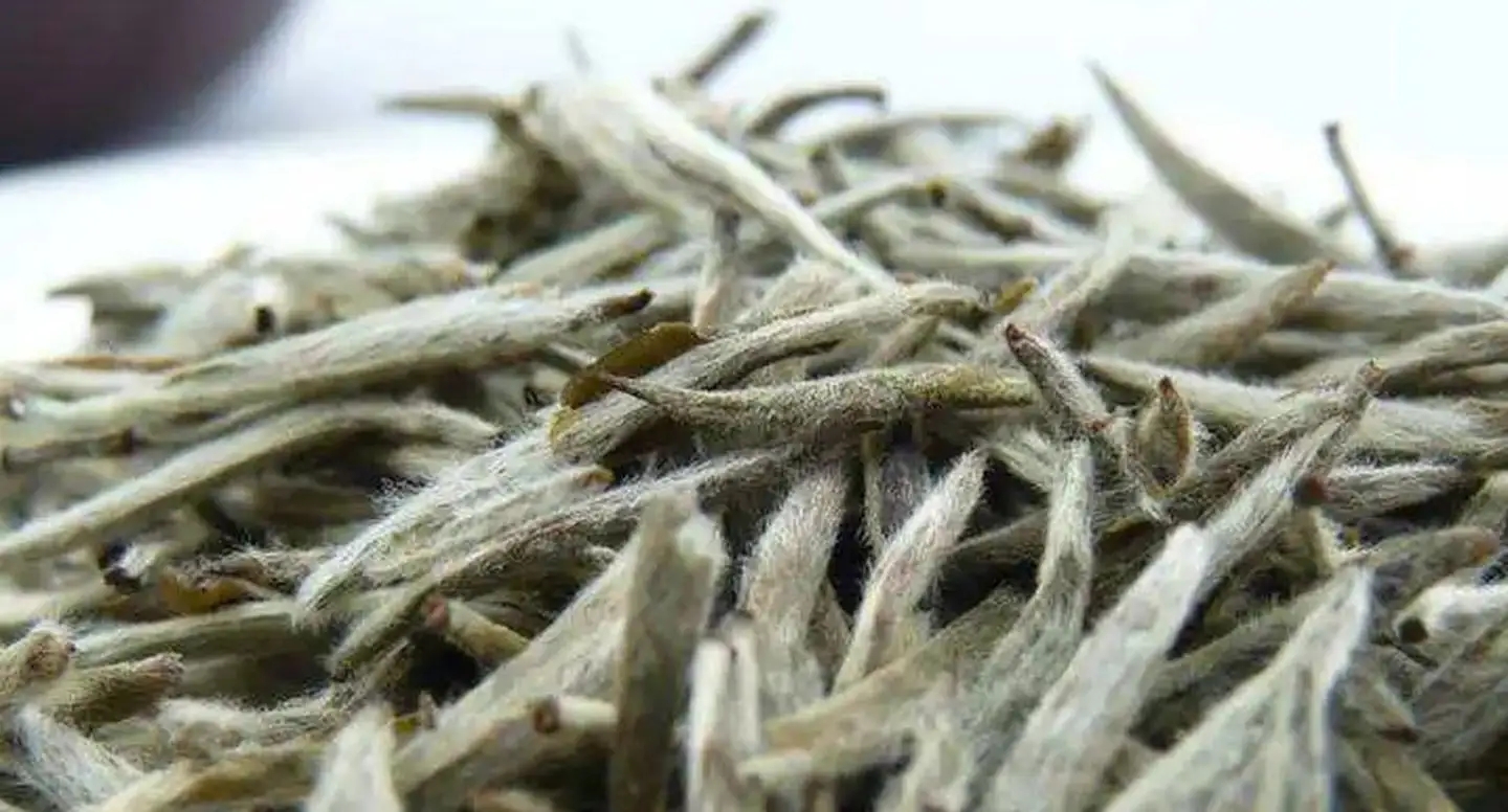 茶毫越多的茶，品質(zhì)就越高嗎？