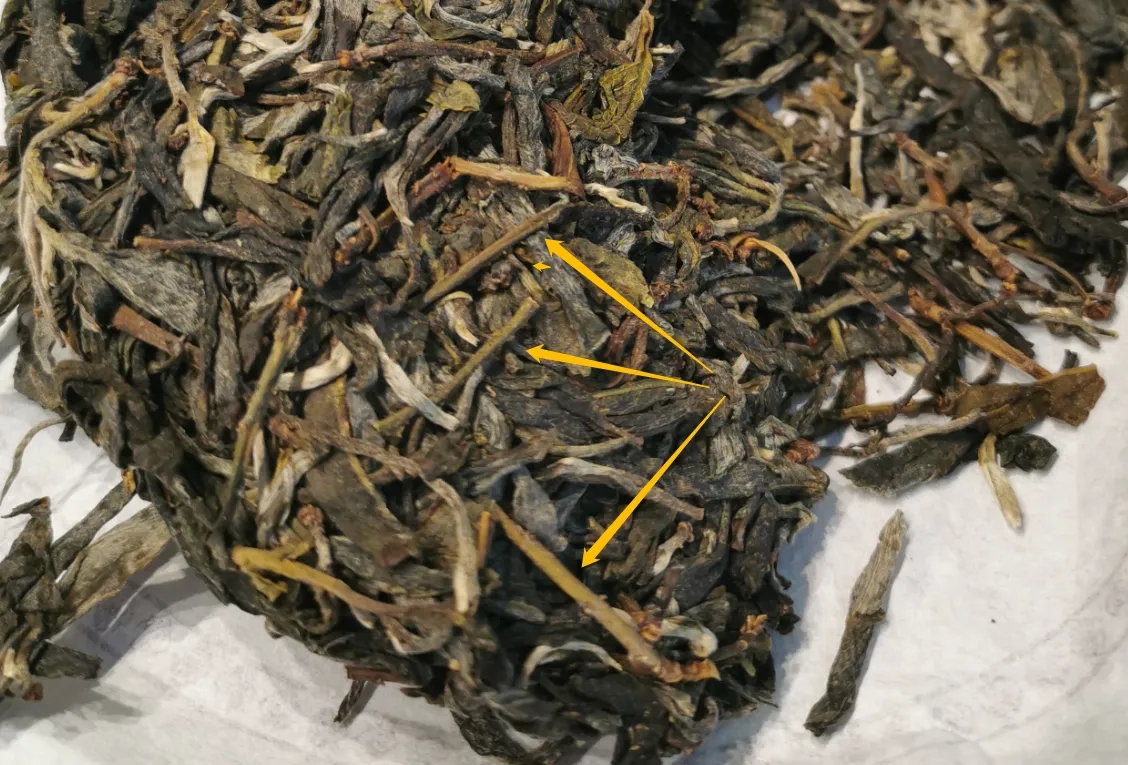 普洱茶的葉底有茶梗，就是茶不好嗎？
