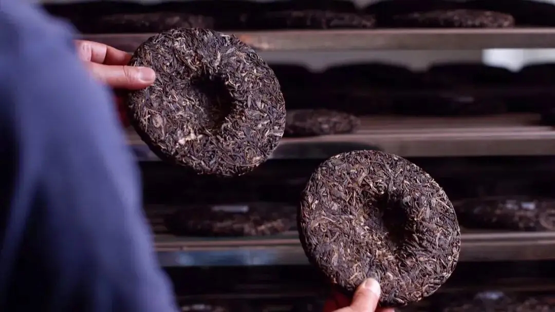 喝茶人都關(guān)心的普洱熟茶4大超核心問題！