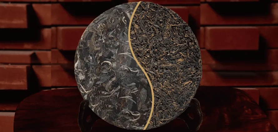 一入普門深似海？入普洱門前，你需要了解這些