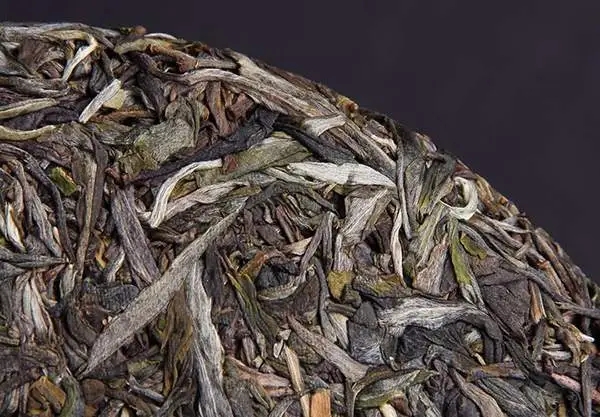 普洱茶屬于什么茶？普洱茶為什么會越陳越香？