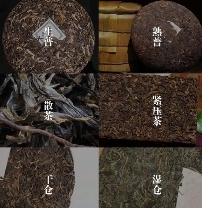 普洱茶不是越陳越香嗎？怎么也有最佳品飲期？