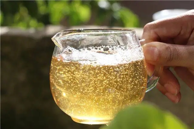 茶顏觀色”，看普洱茶條索里都蘊(yùn)含著怎樣的“密碼”？