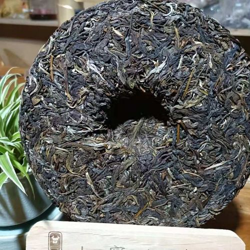 勐庫茶到底是個啥味道？