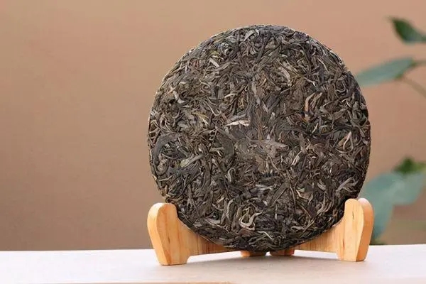 普洱茶入門首要問題，弄清楚，才能喝好茶