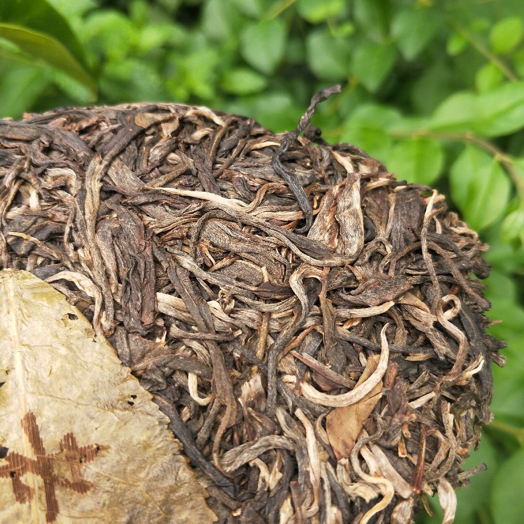 2023年班盆古樹春茶多少錢一公斤？