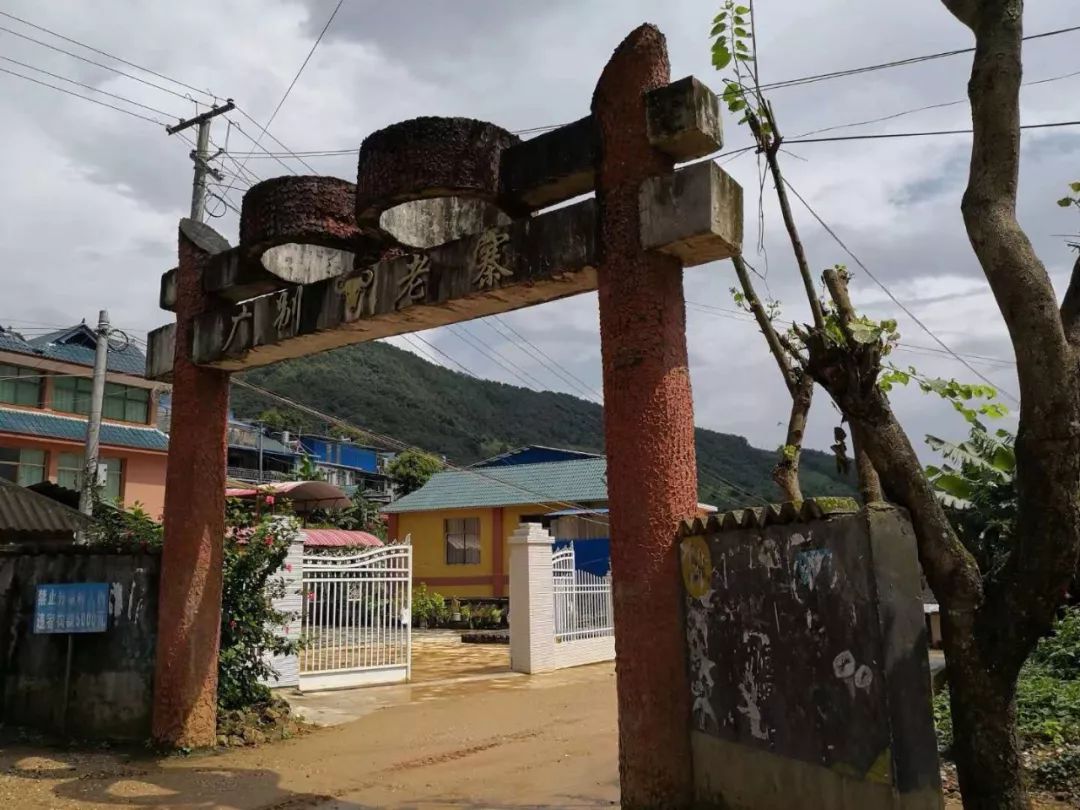 2023年廣別老寨古樹春茶價格多少？