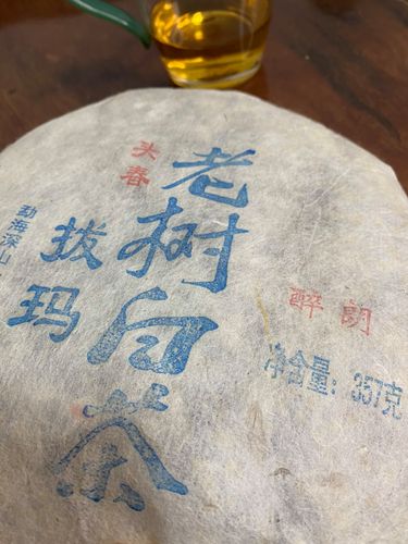 2023年拔瑪老寨古樹春茶口感如何？