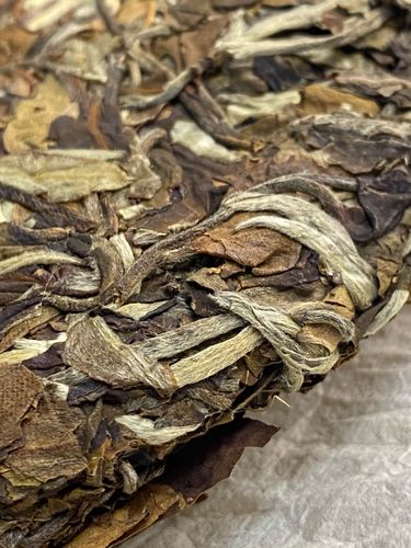 2023年拔瑪老寨古樹(shù)春茶特點(diǎn)是什么？