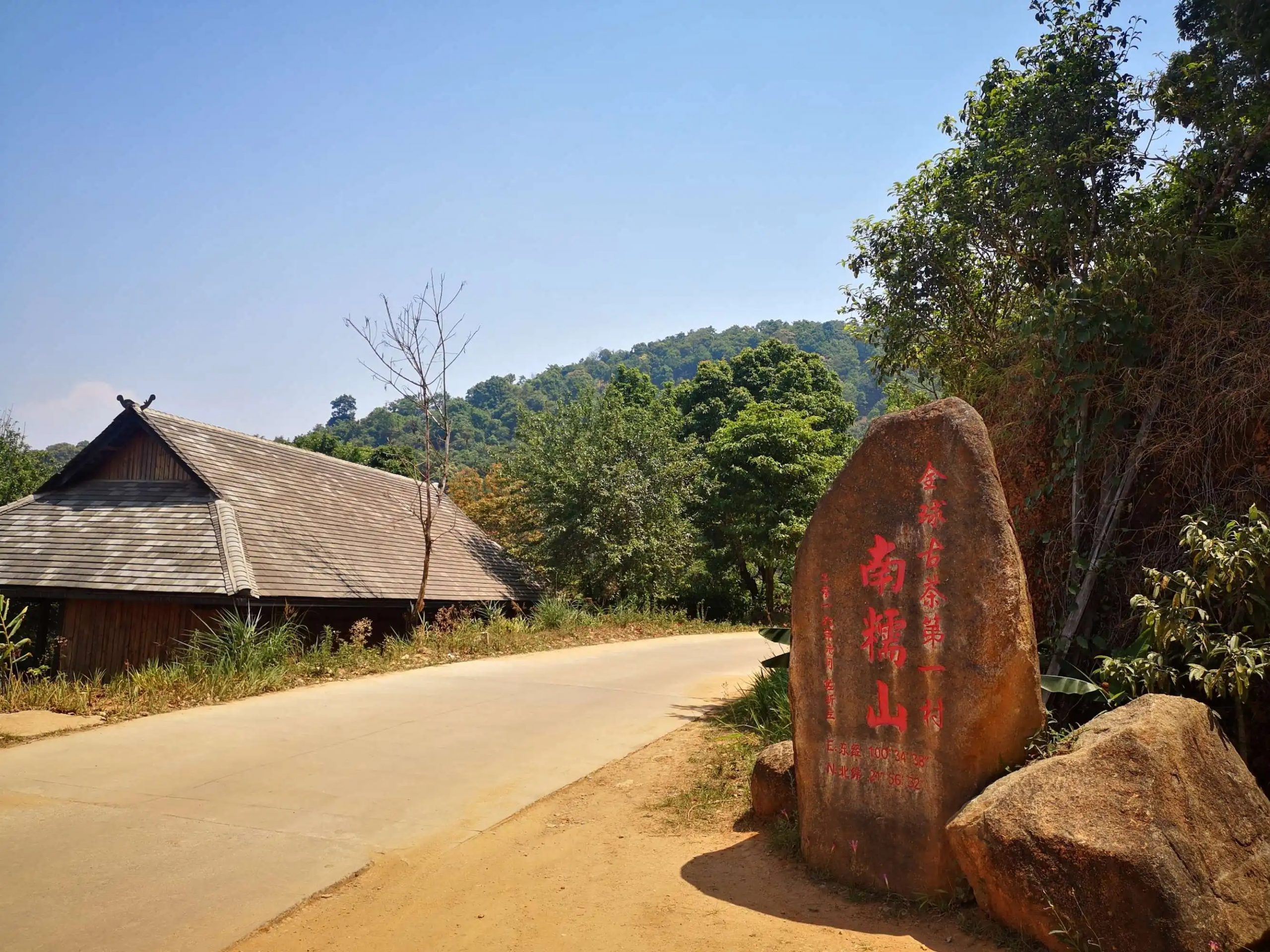 2023年南糯山古樹春茶品質(zhì)怎么樣？