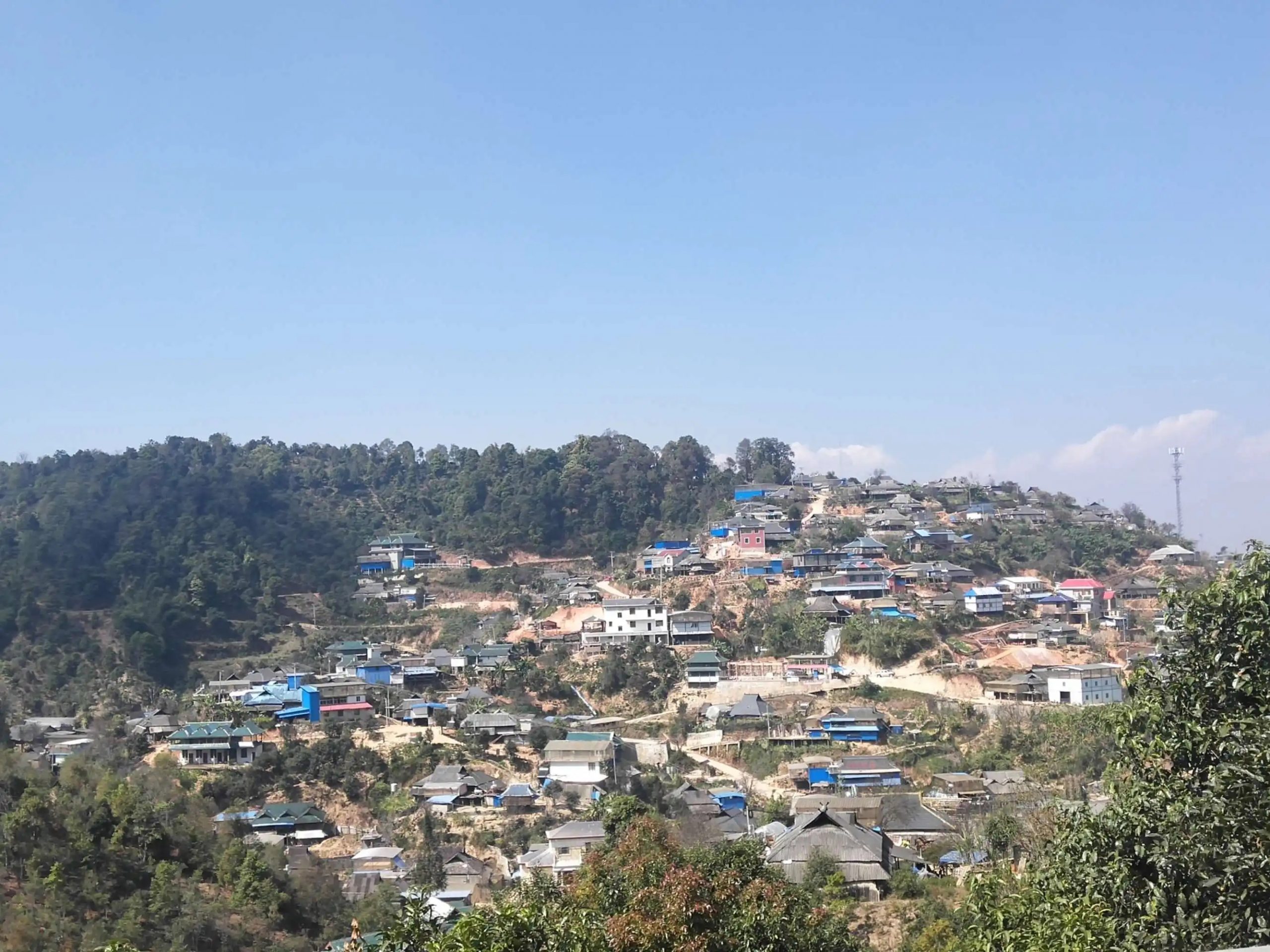 2023年帕沙古樹春茶品質(zhì)如何？