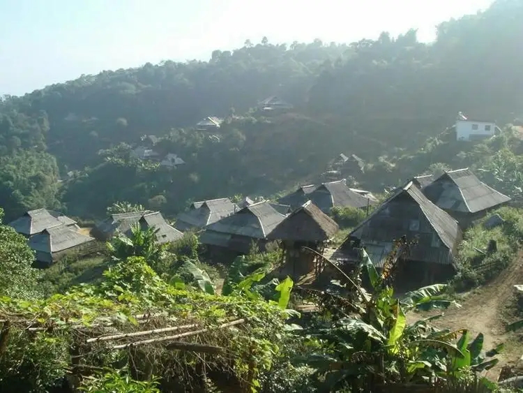 2023年帕沙古樹春茶多少一公斤？