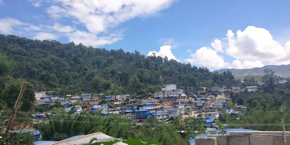 2023年那卡古樹(shù)春茶品質(zhì)如何？