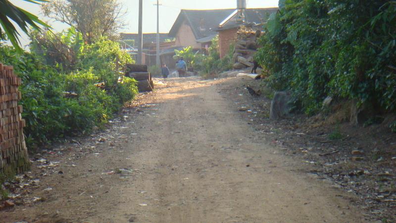 2023年保塘老寨古樹春茶價格是多少？