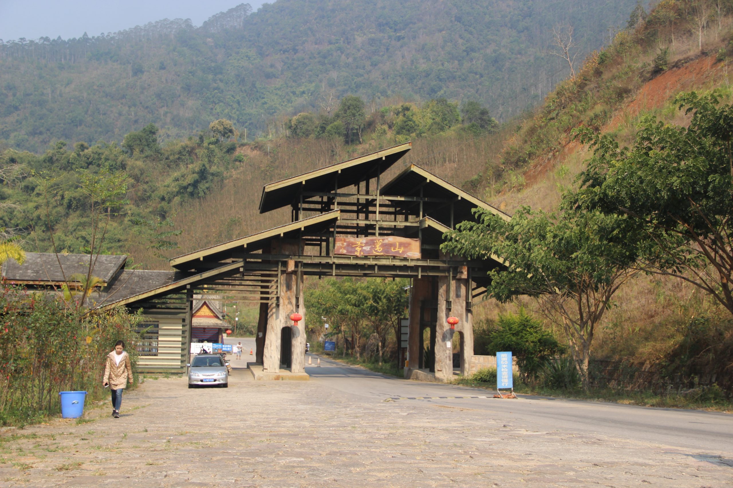 2023年景邁古樹(shù)春茶口感如何？