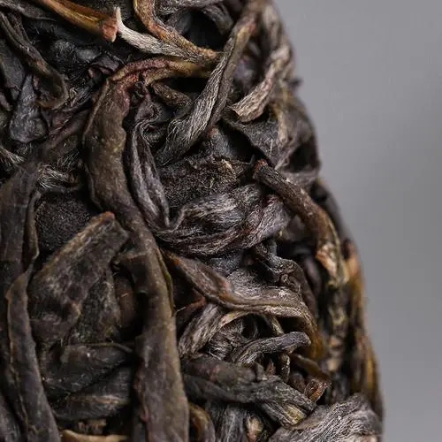 2023年迷帝古樹春茶價格是多少？