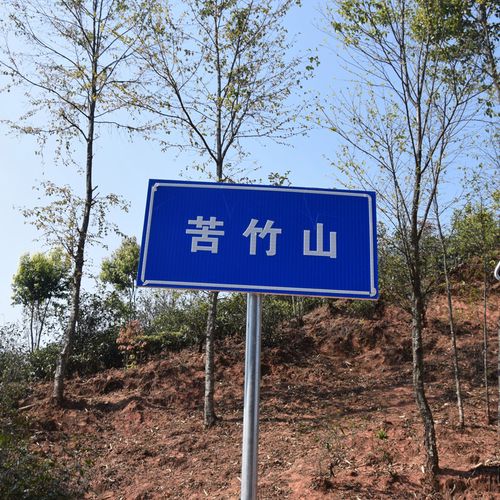 2023年苦竹山古樹(shù)春茶品質(zhì)如何？