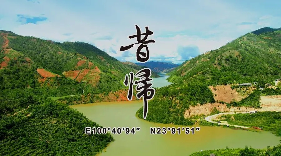 2023年昔歸古樹春茶品質(zhì)如何？