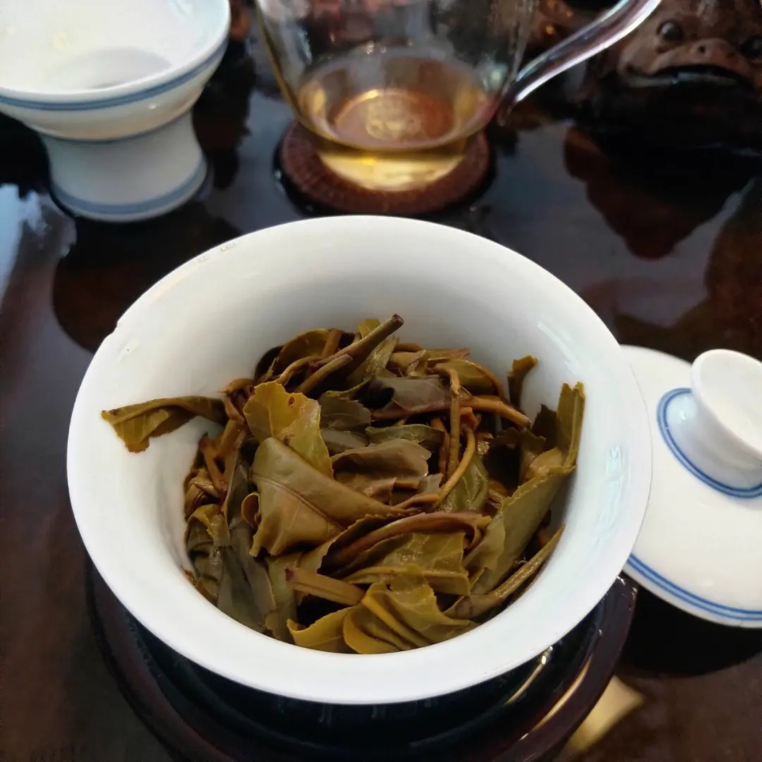 2023年昔歸古樹春茶口感如何？