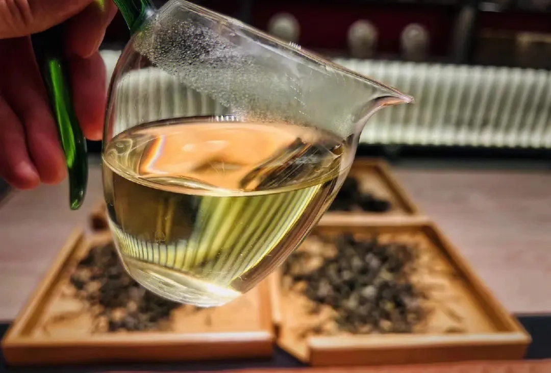 2023年鳳凰窩古樹春茶價格是多少？