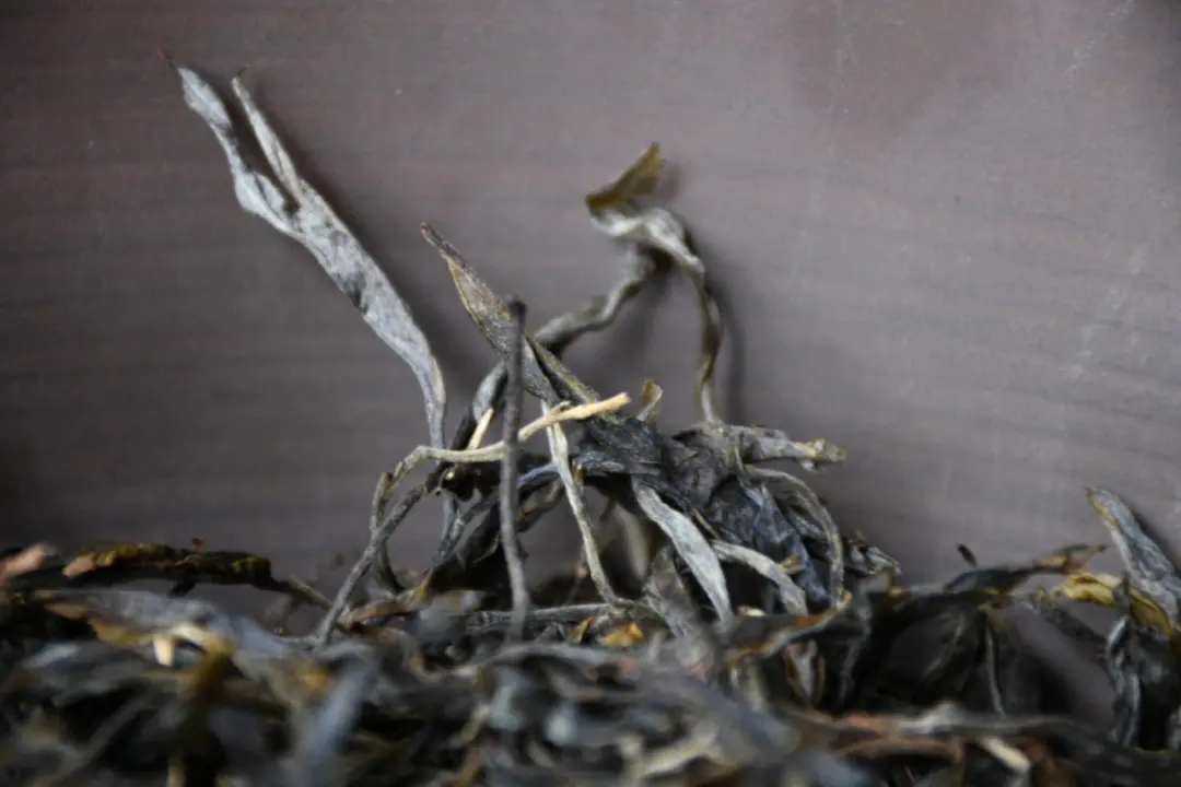 2023年正氣塘古樹春茶多少一公斤？