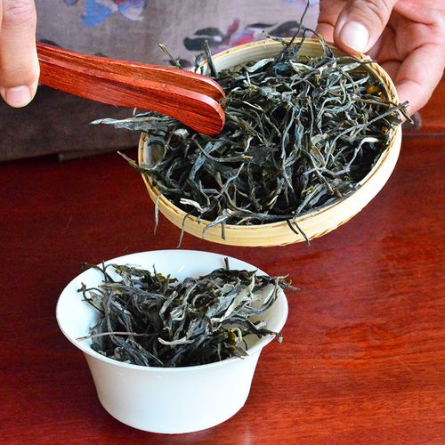 2023年地界古樹春茶口感是什么？