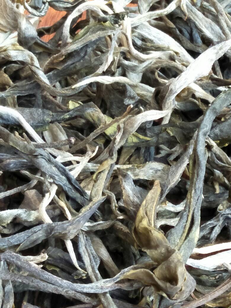 2023年壩歪古樹春茶價(jià)格是多少？