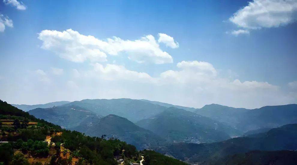 2023年勐庫(kù)大忠山古樹(shù)春茶價(jià)格是多少？