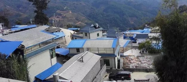 2023年勐庫(kù)豆腐寨古樹(shù)春茶多少一公斤？