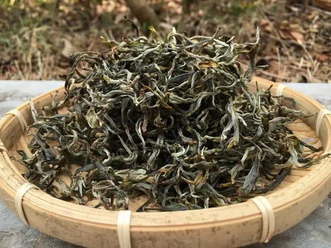 2023年易武張家灣古樹(shù)春茶品質(zhì)如何？