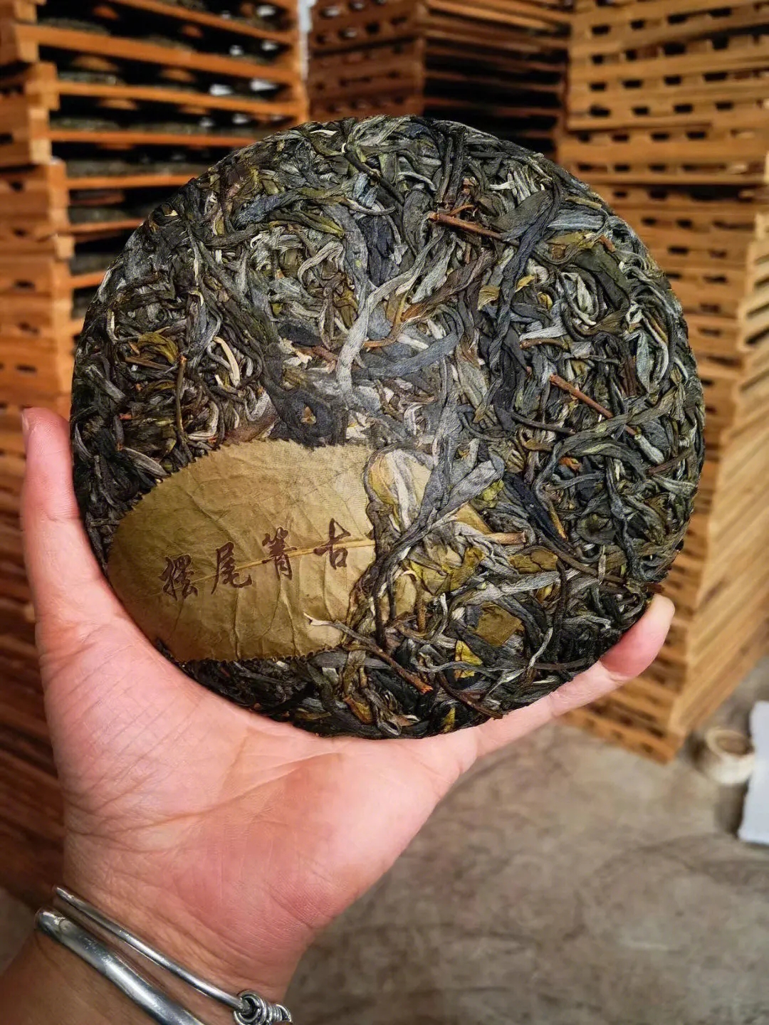 2023年寧洱擺尾箐古樹(shù)春茶品質(zhì)怎么樣？