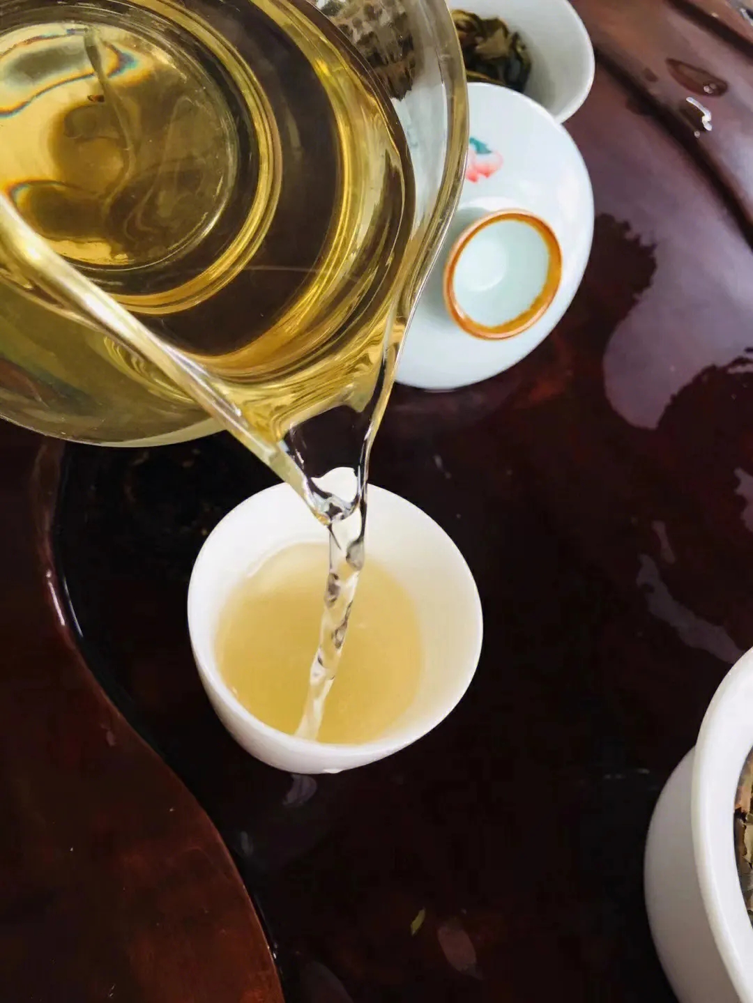 2023年鎮(zhèn)沅老海塘古樹春茶價(jià)格是多少？