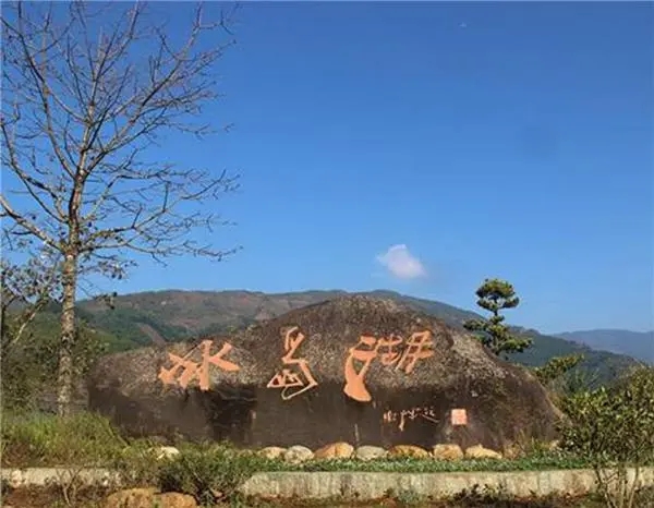 2024年冰島老寨古樹(shù)春茶品質(zhì)怎么樣？