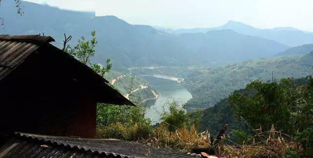 2024年磨烈古樹春茶價格多少？