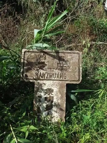 2025年蠻磚古樹(shù)春茶特點(diǎn)是什么？